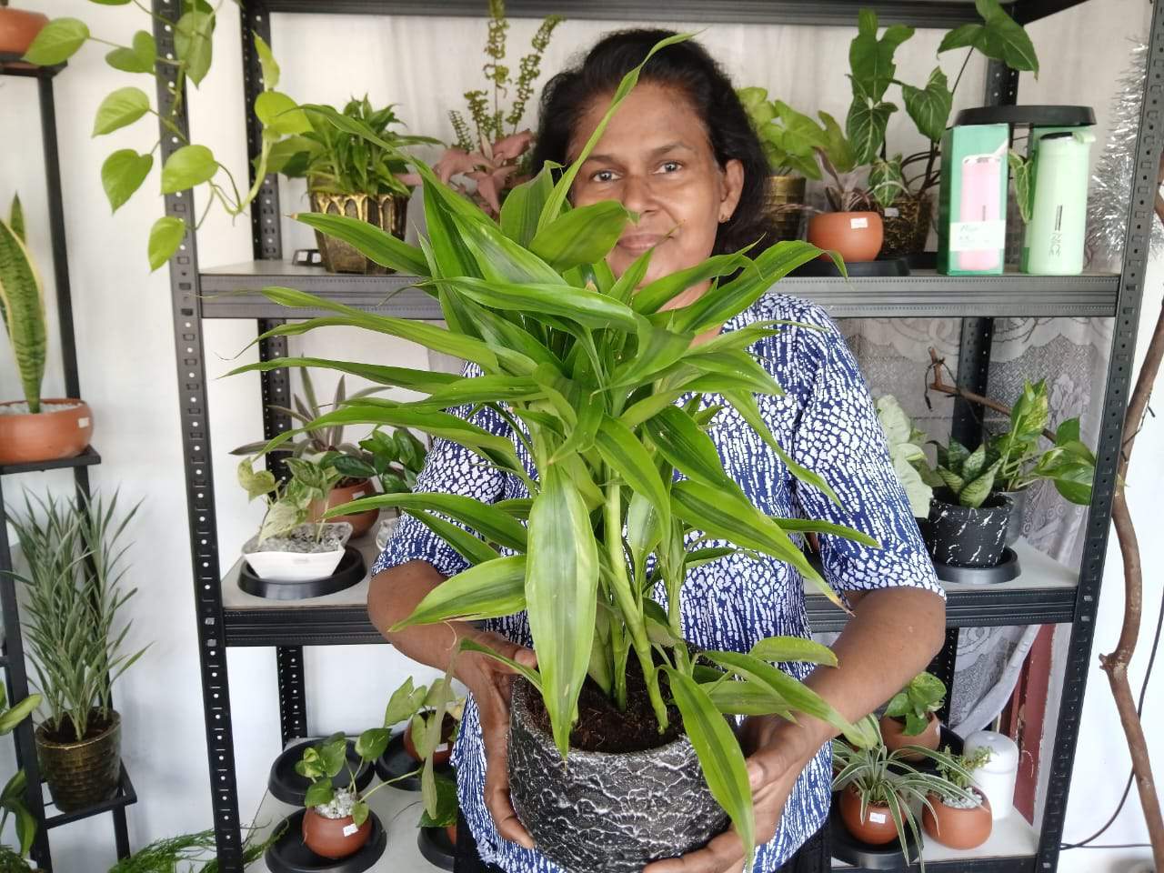 Indoorplant.lk After Purchase Care