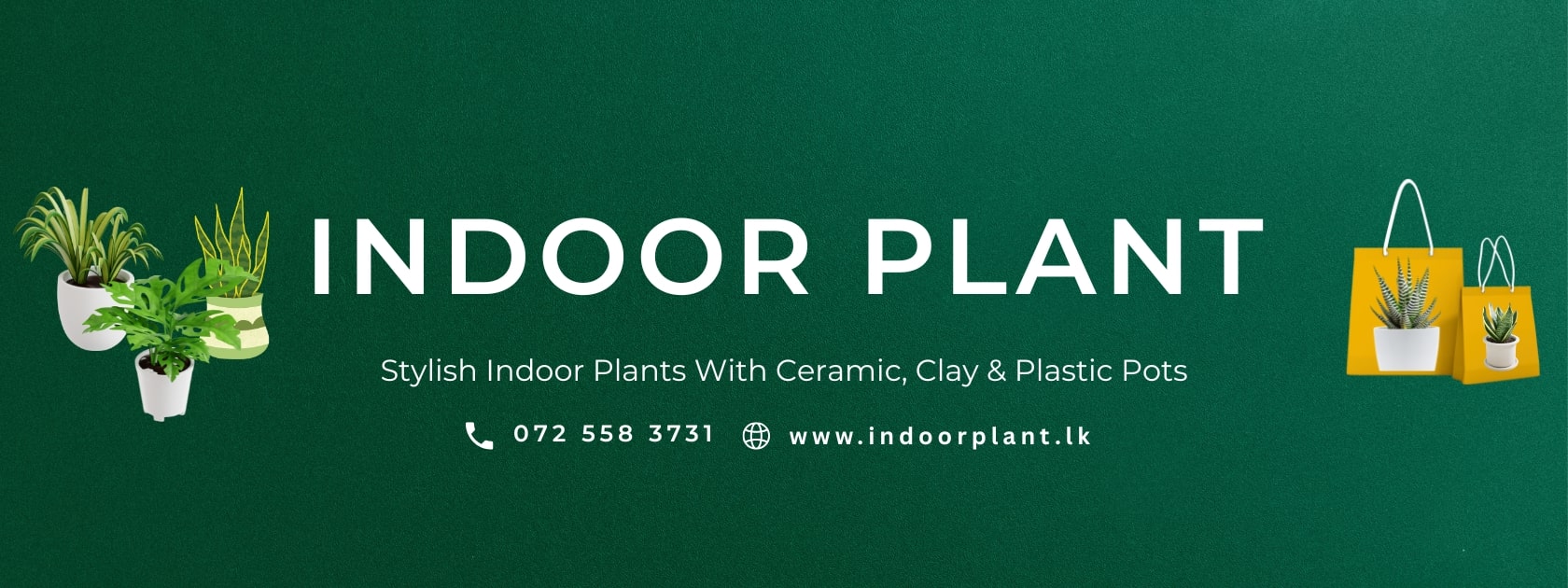 . - Indoor Plant.lk